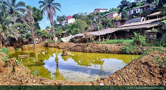 Ancien dépotoir du marécage transformé en premiers bassins piscicoles